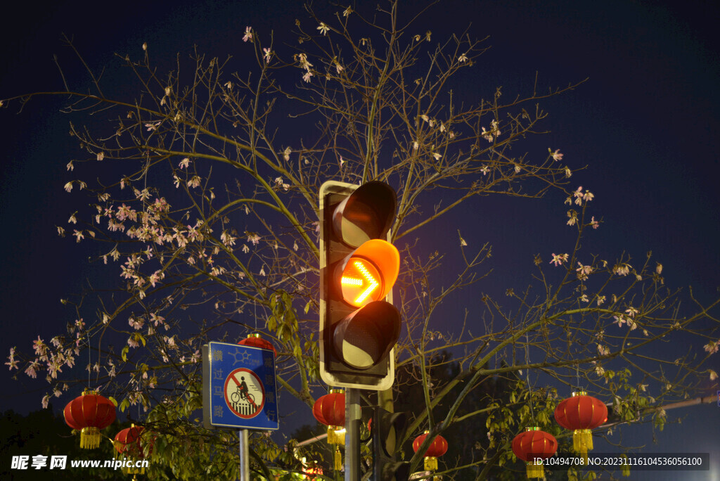 夜晚紫荆
