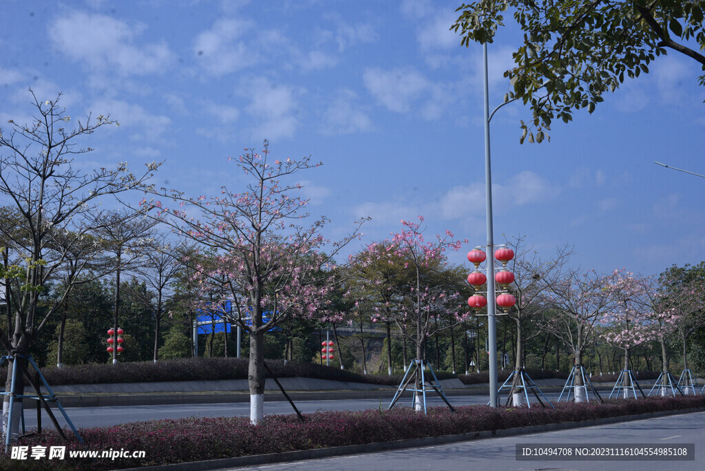 紫荆道路城市天空