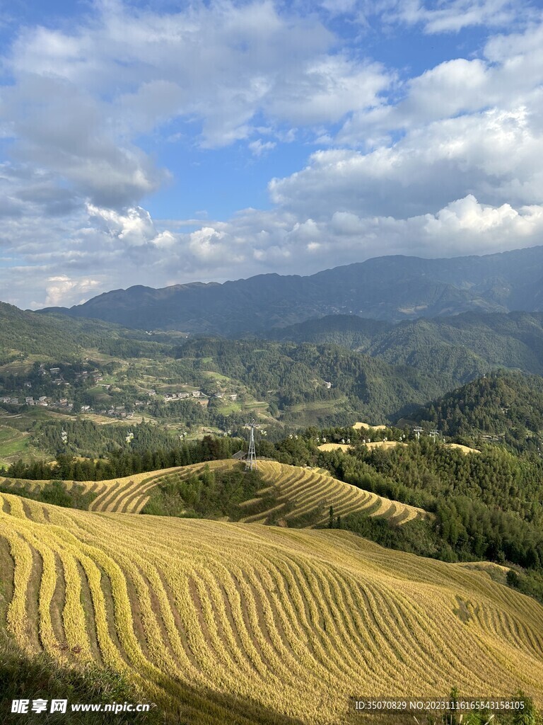 广西龙脊梯田 黄金梯田 远山黛