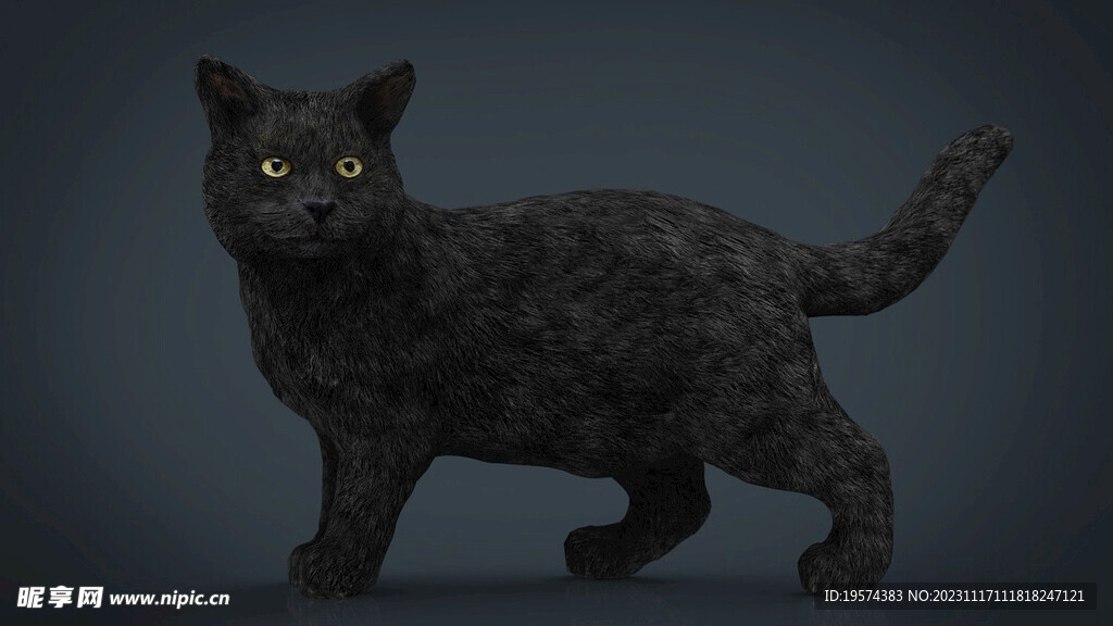 C4D模型 猫