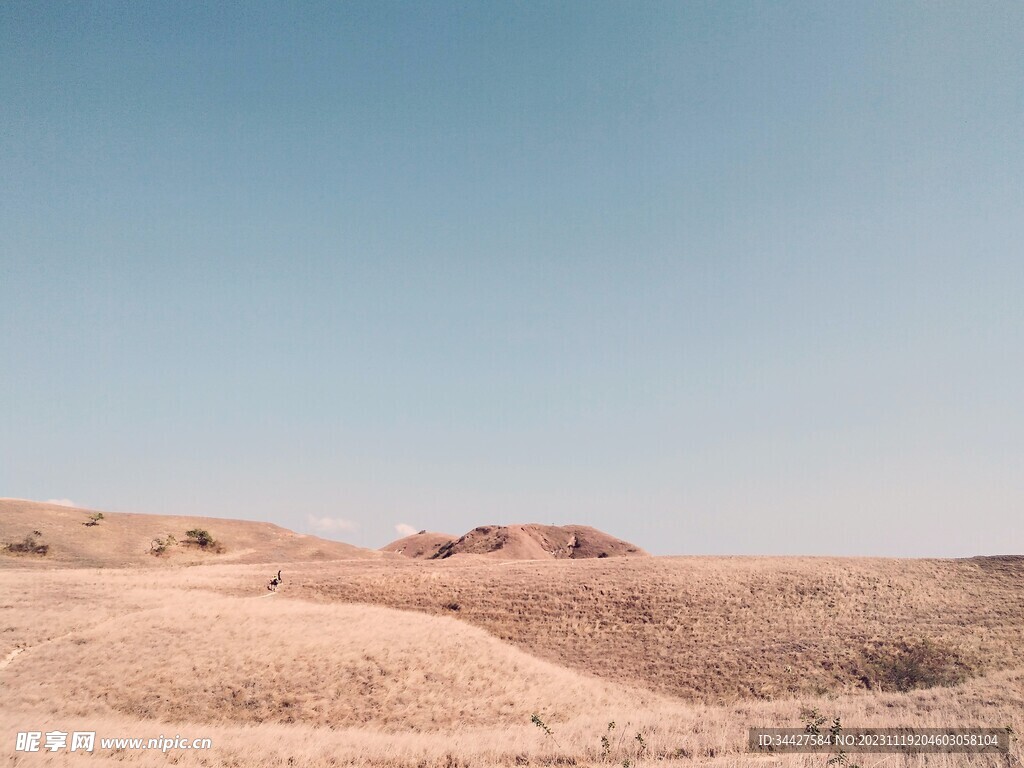 草原风景
