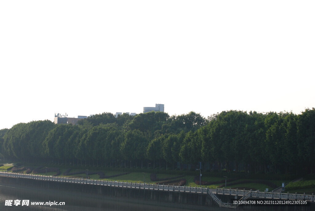 城市公园绿化