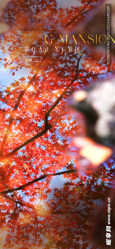 霜降  
