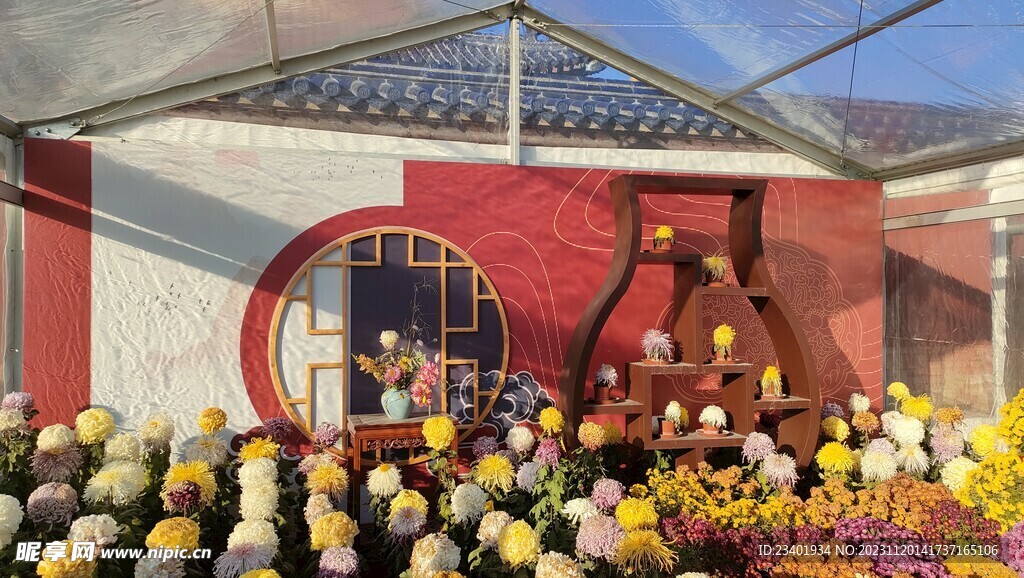 北京天坛菊花展