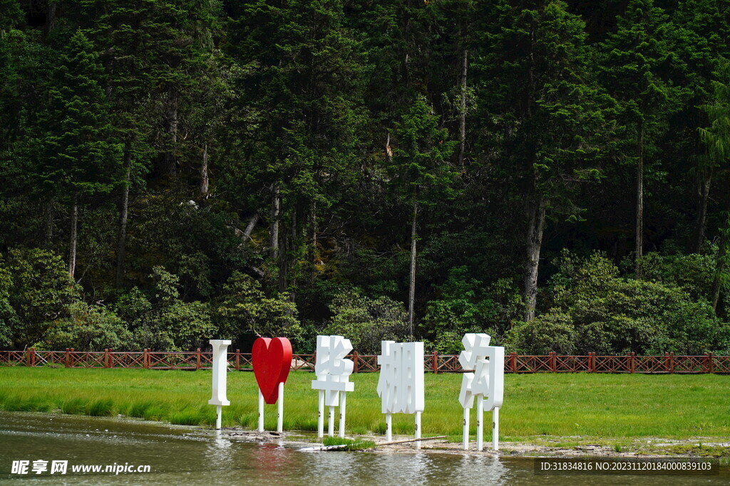 大自然的爱情誓言
