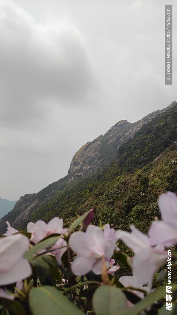云髻山花烂漫