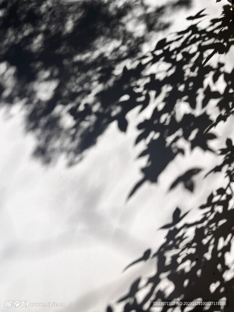 光影