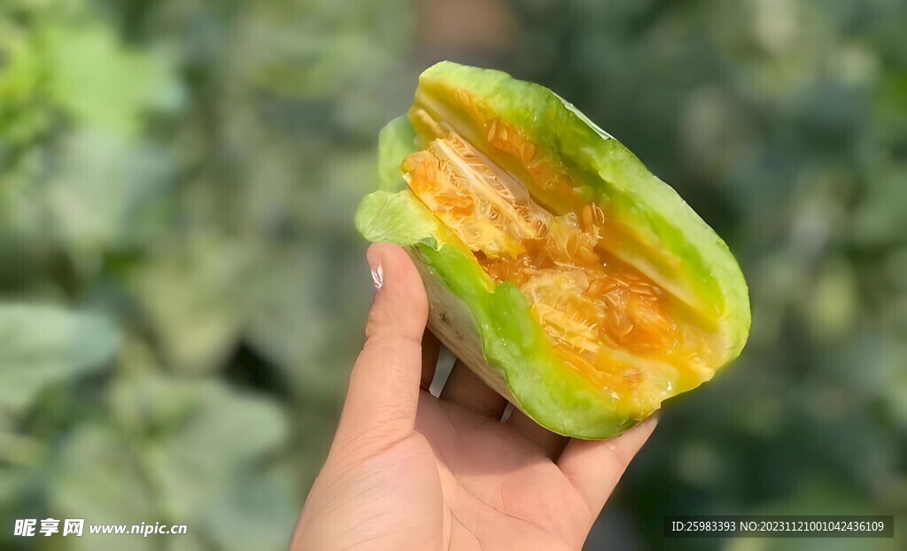 羊角蜜瓜