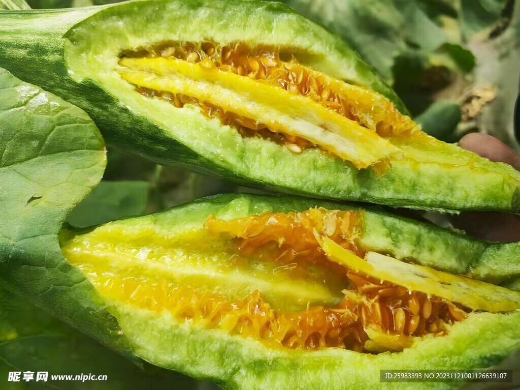 羊角蜜瓜