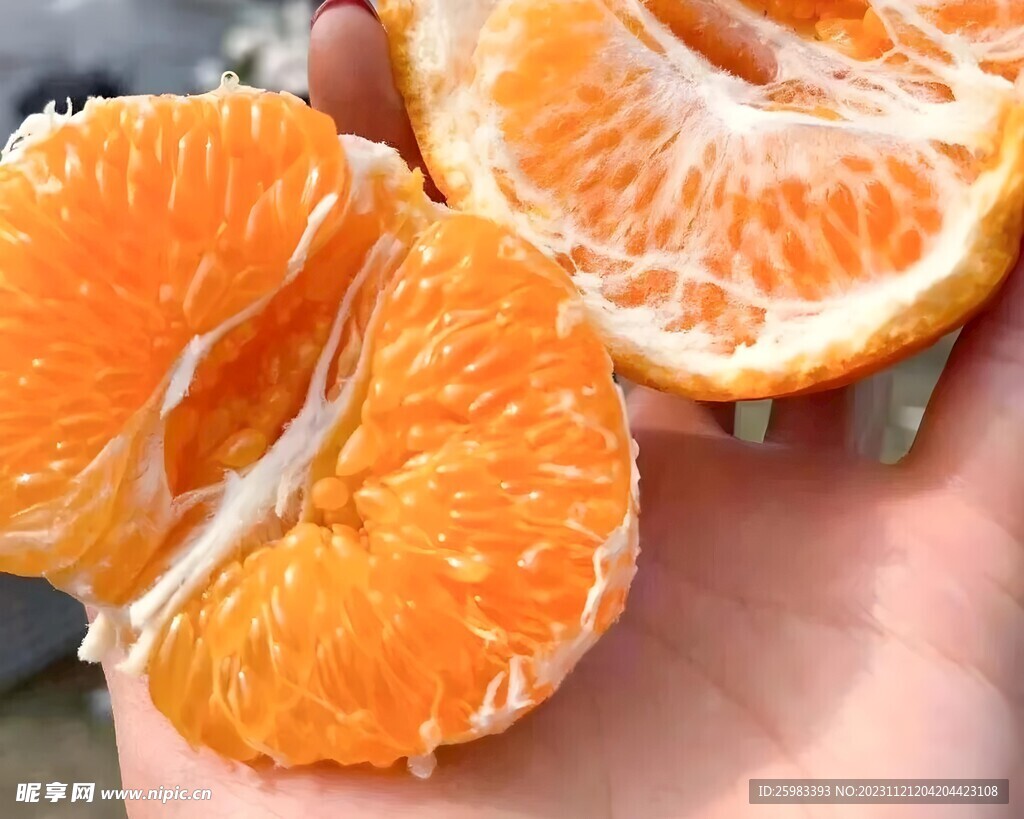 柑橘