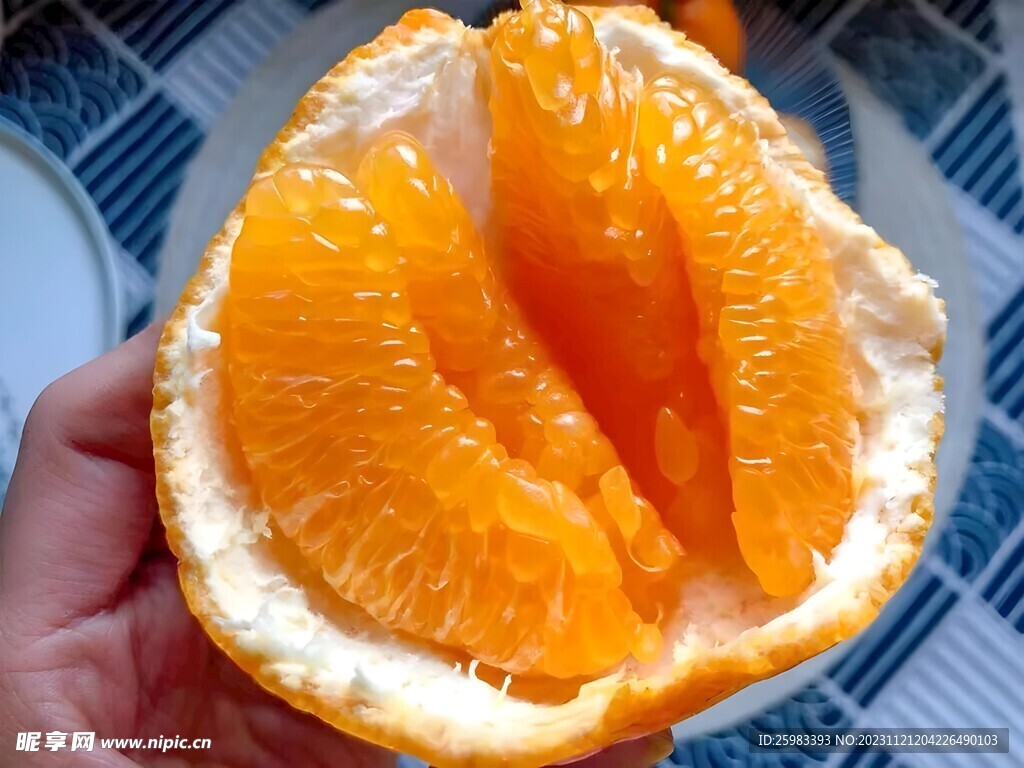 柑橘