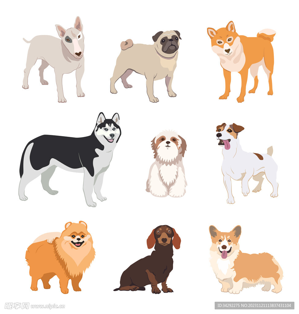 狗插画