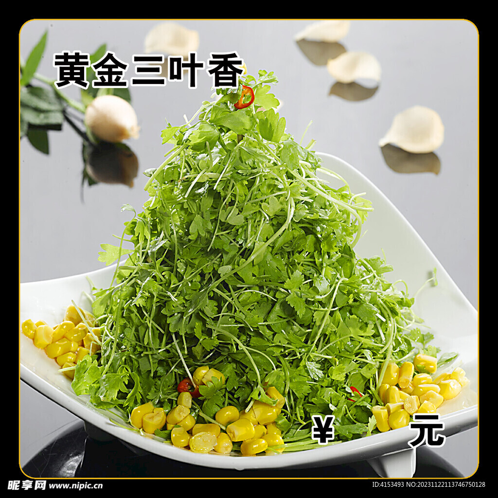 黄金三叶香