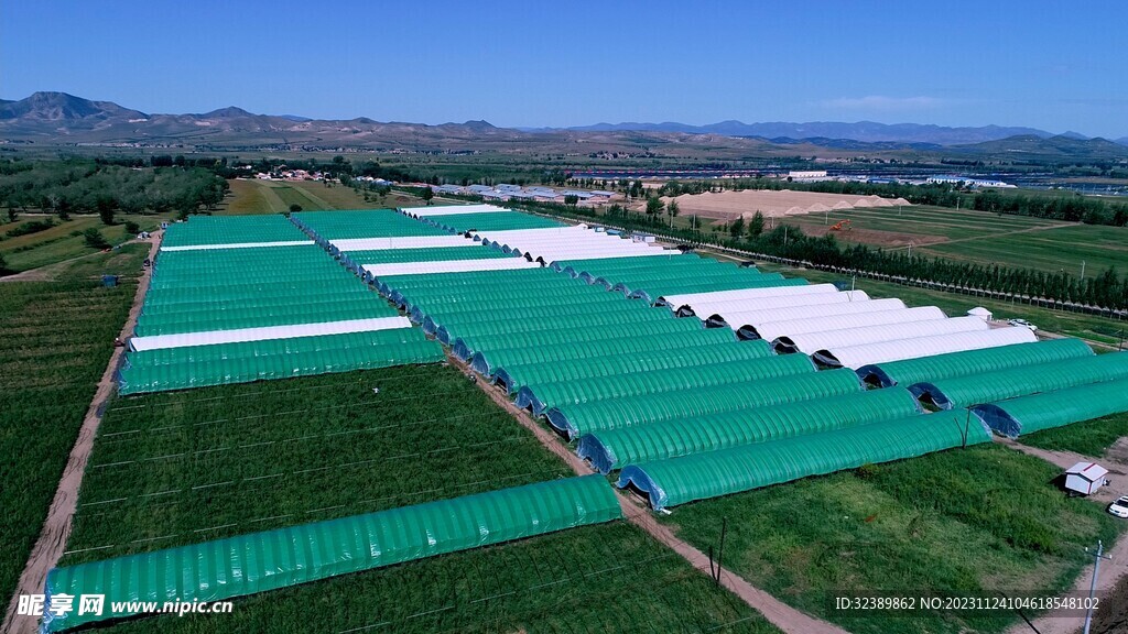 农业绿色蔬菜大棚