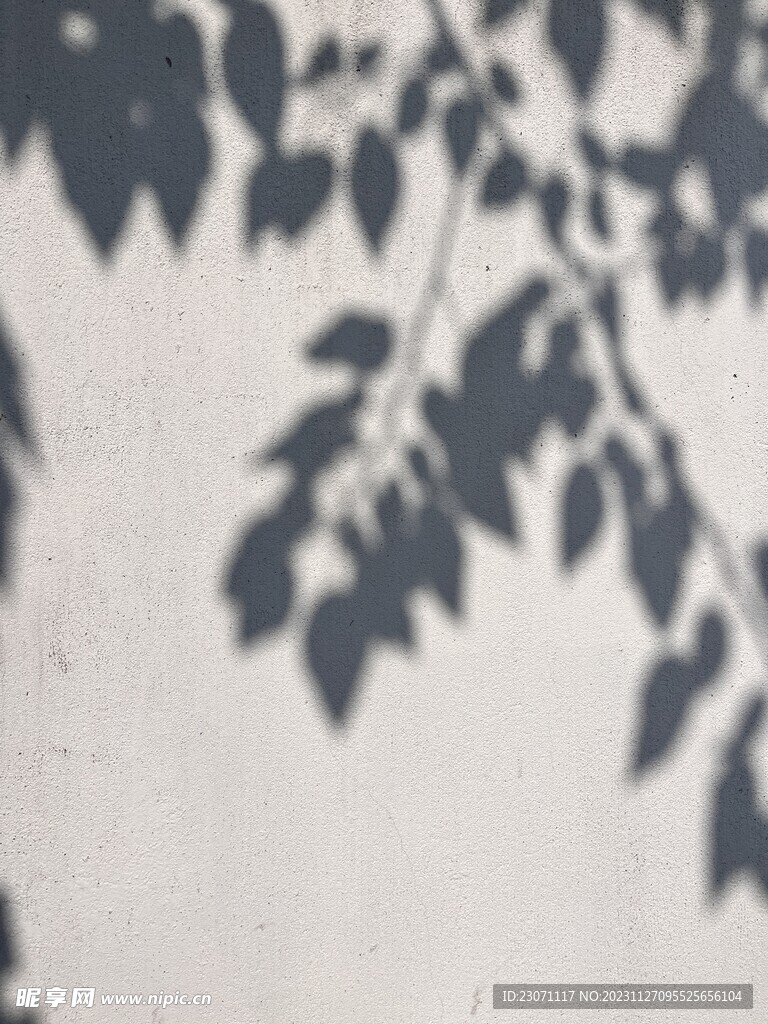 光影树影