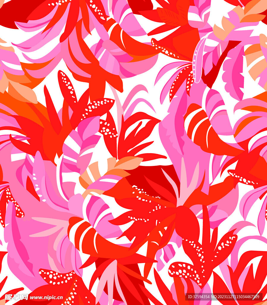 热带花 