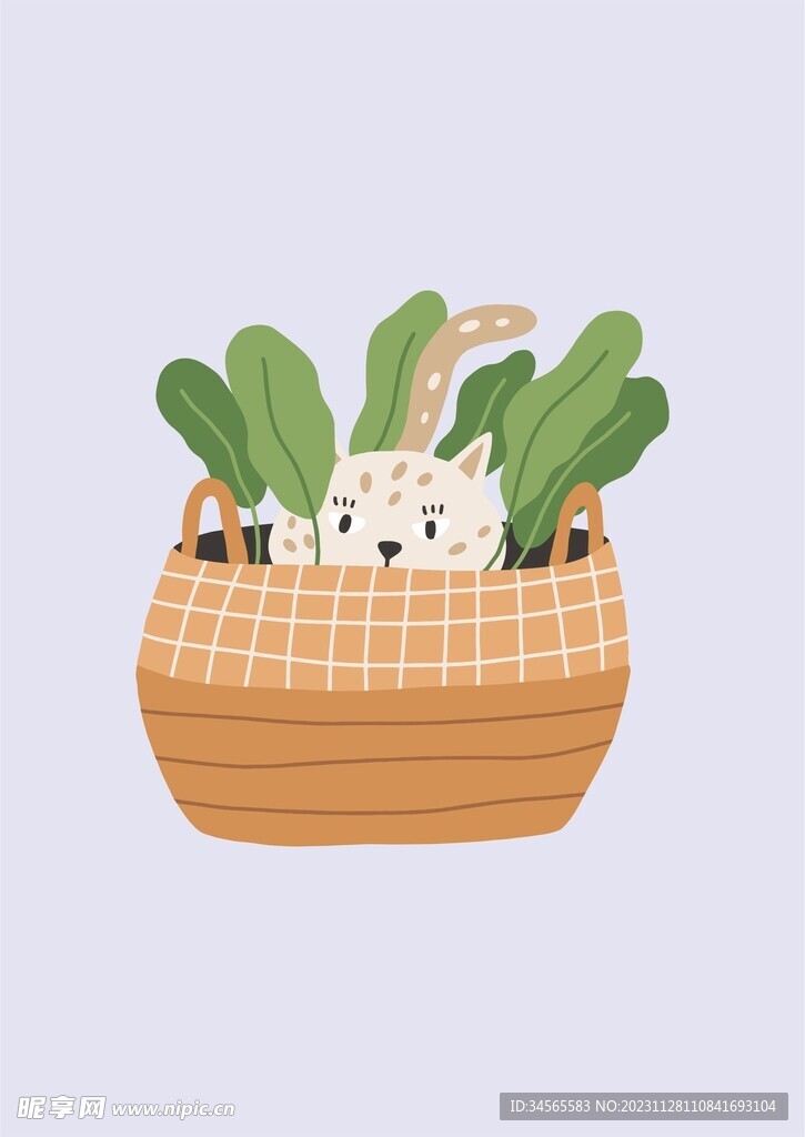 菜篮子小猫咪