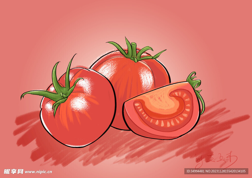 手绘插画蕃茄西红柿