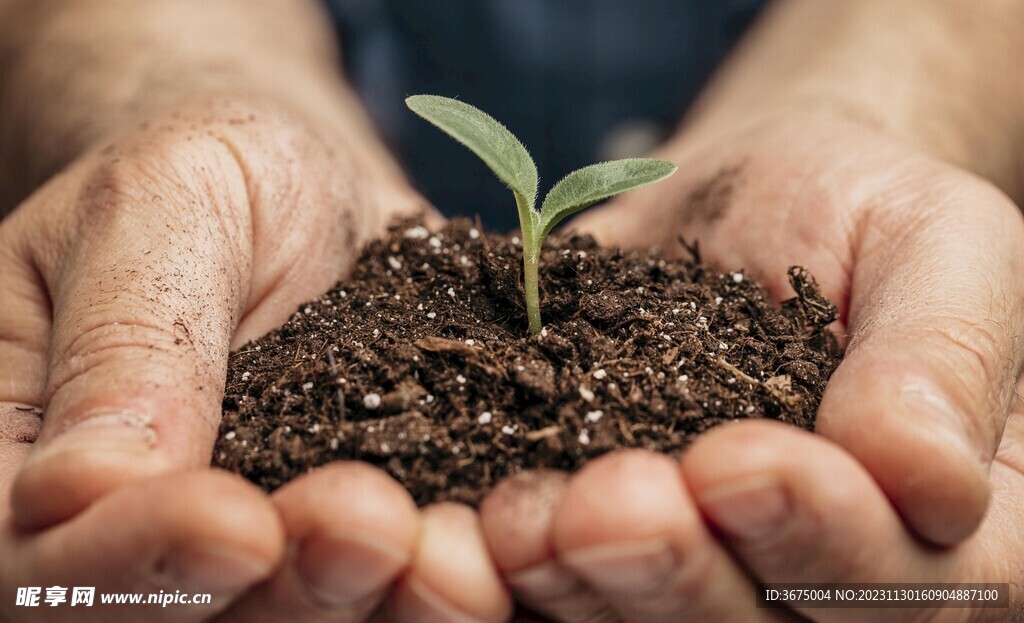 手捧土壤