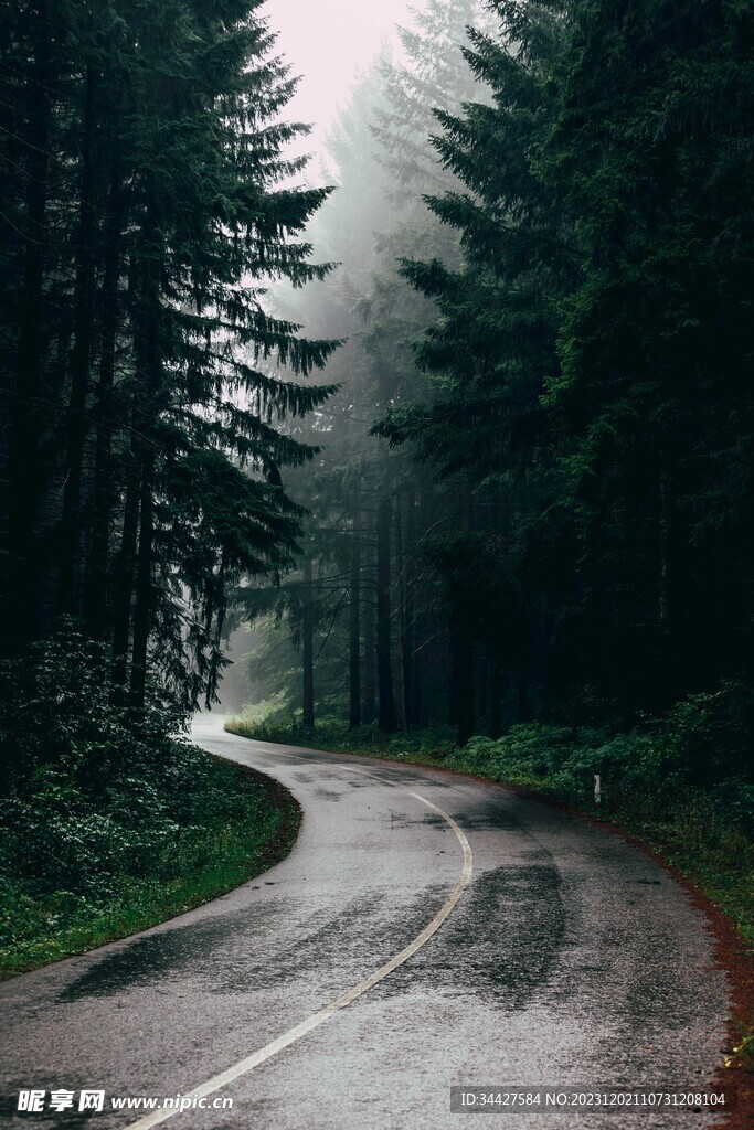 林间道路