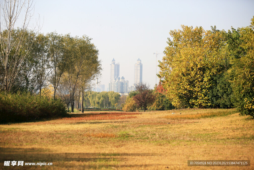 秋天的园林景观