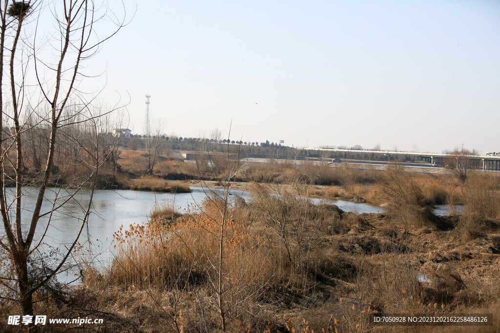 河滩风光