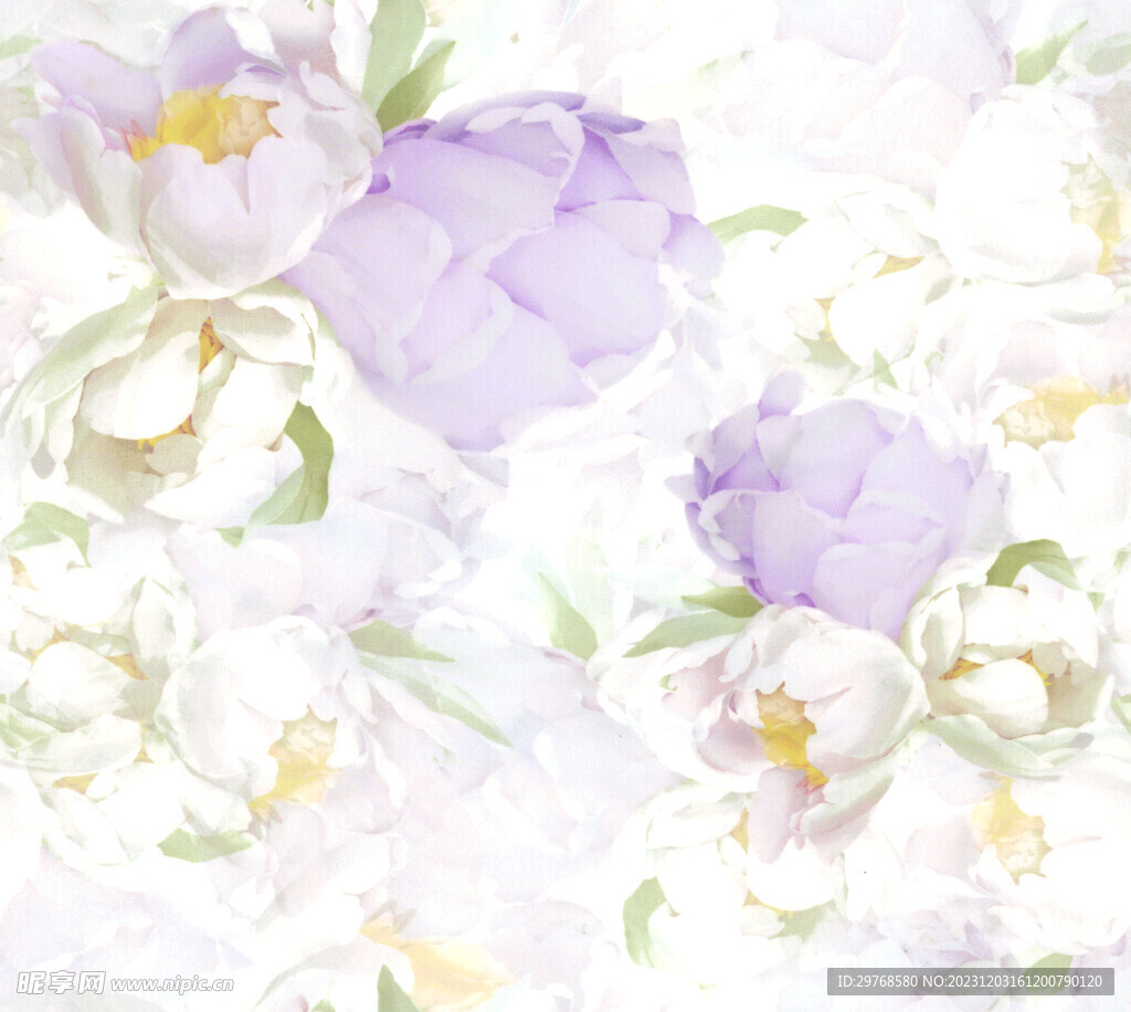 数码手绘花