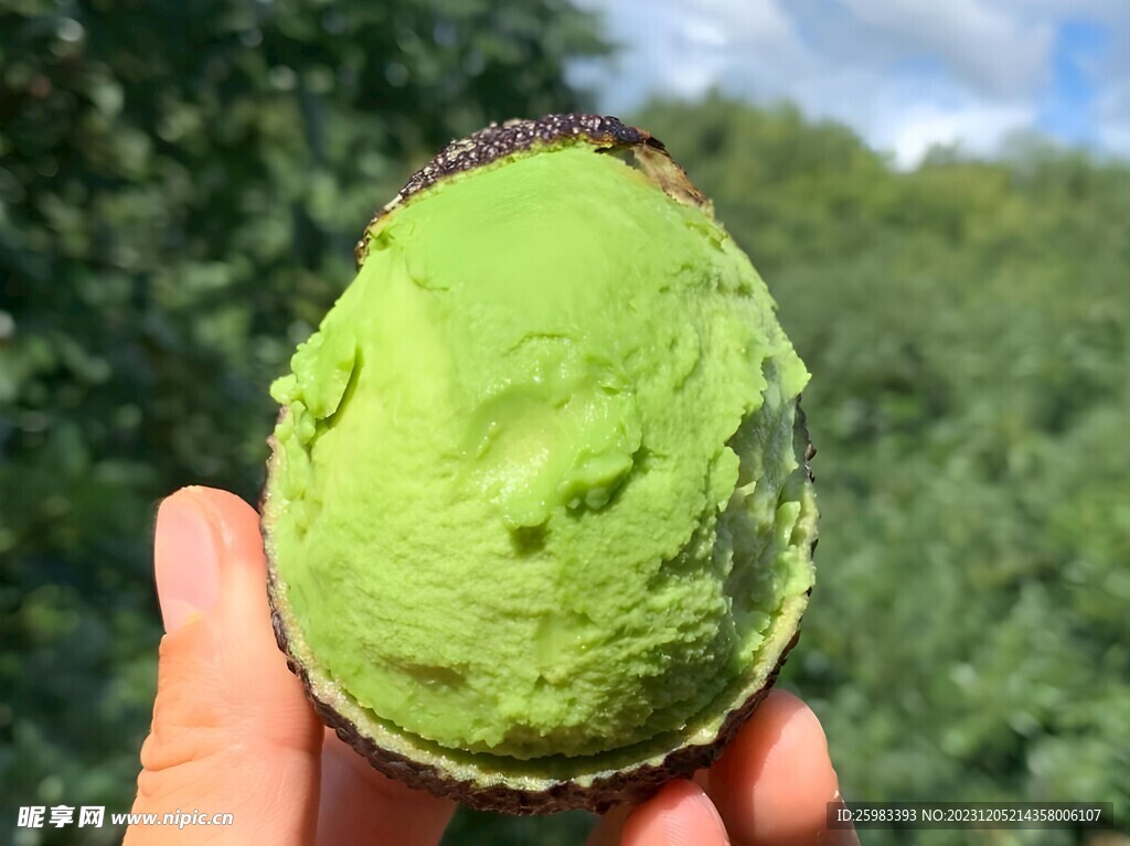 牛油果