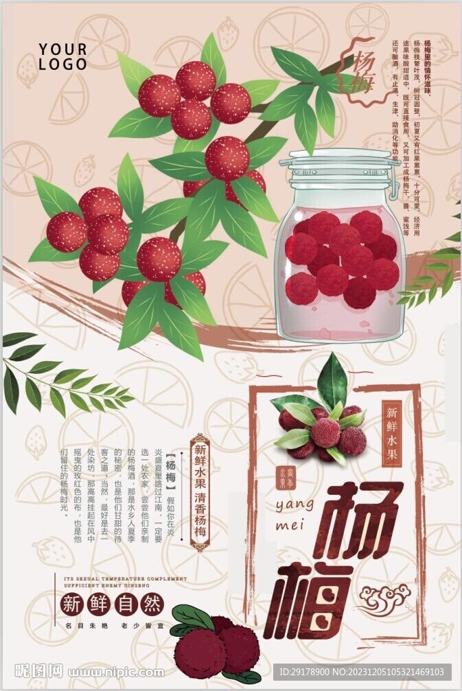杨梅