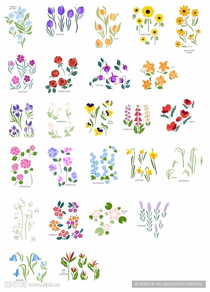 手绘扁平植物矢量插画