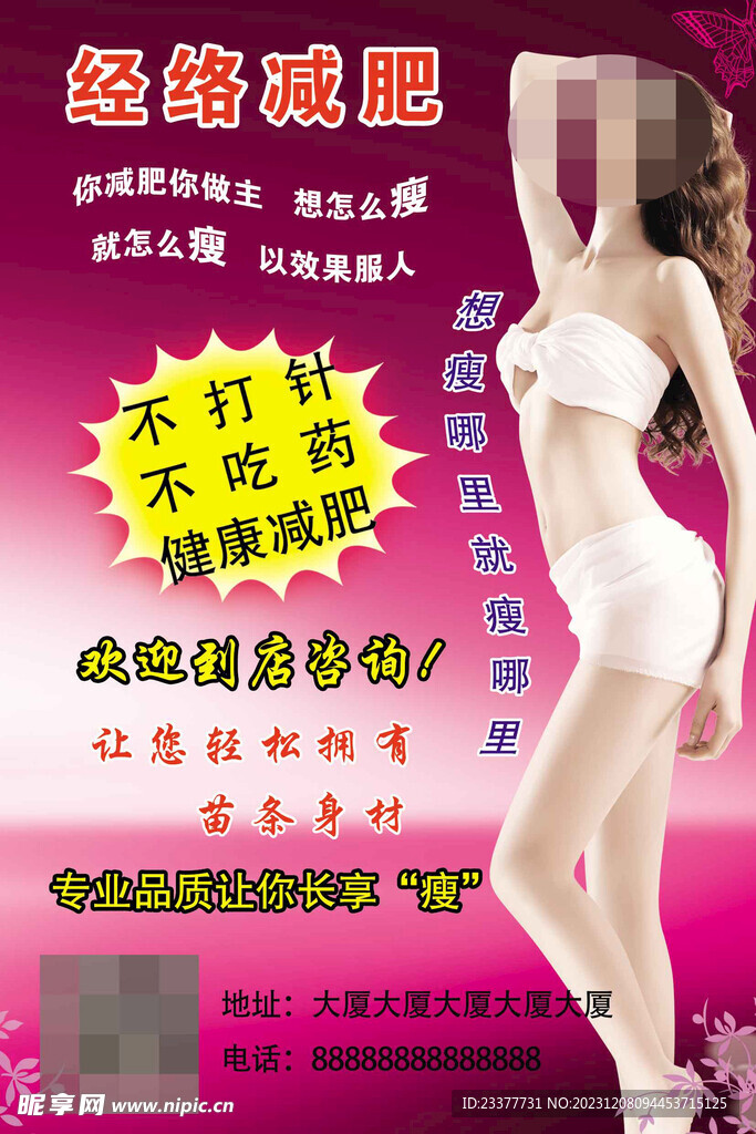 经络减肥海经络养生美容减肥塑身