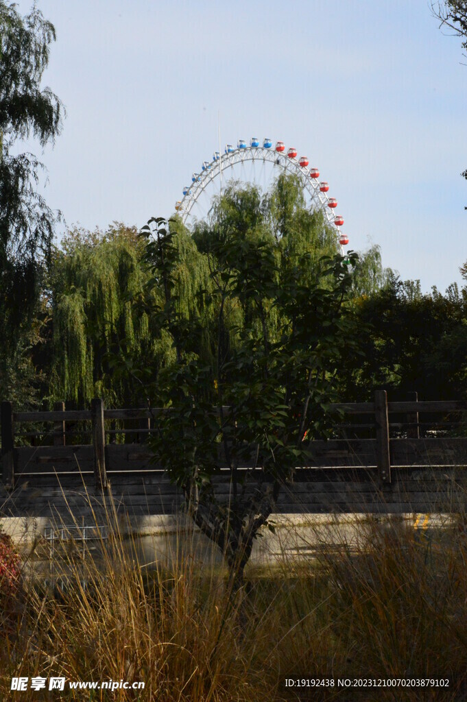 公园风景 