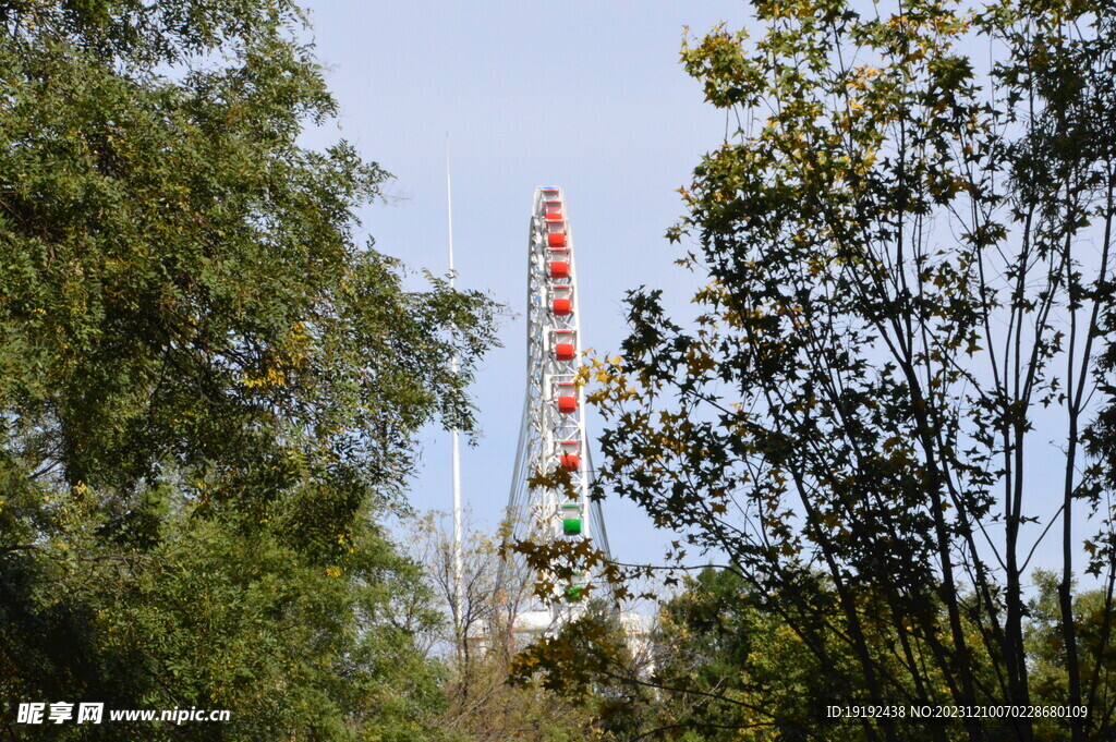 公园风景