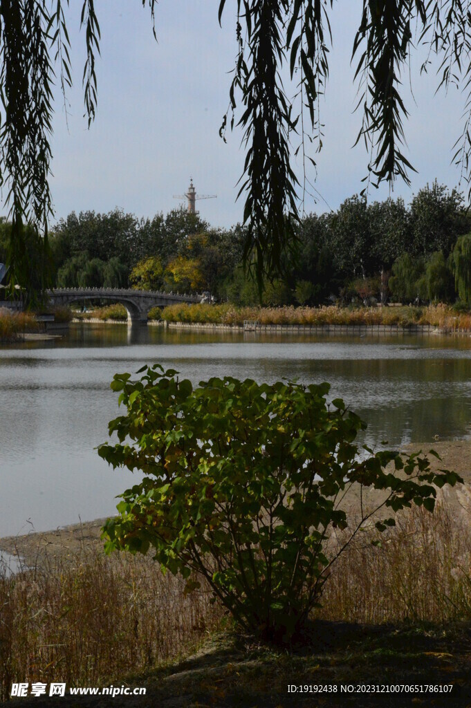 公园风景