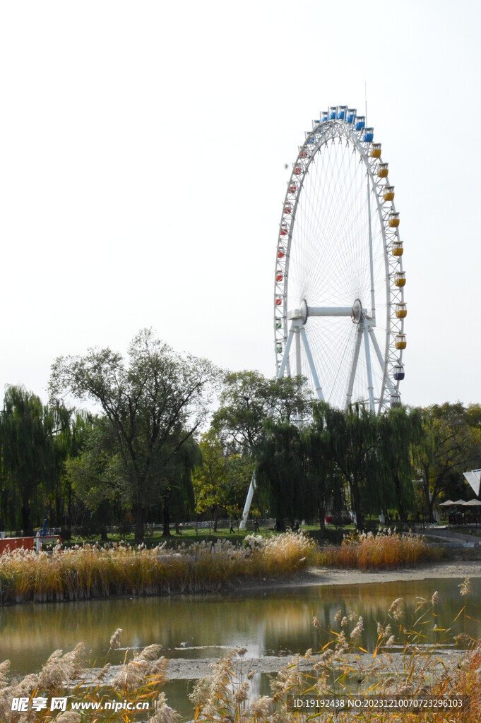 公园风景 