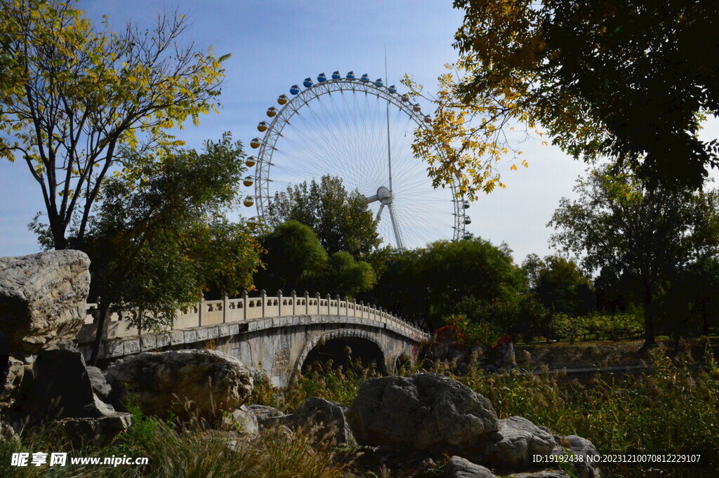 公园风景 