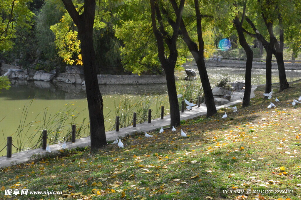 公园风景