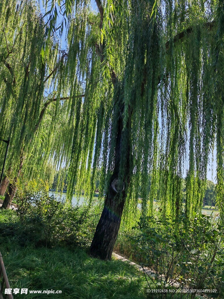 公园风景 