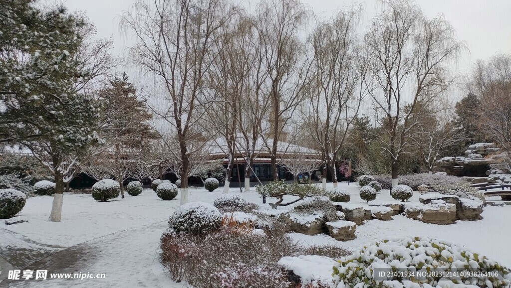 冬季雪景雪天园林