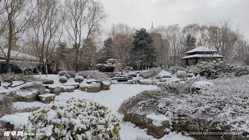 北京园博园雪景雪天