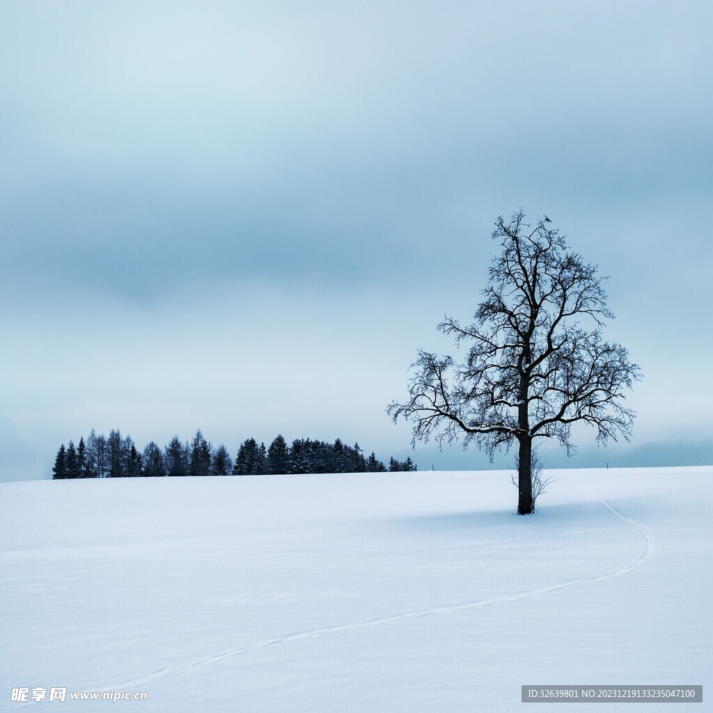 雪景