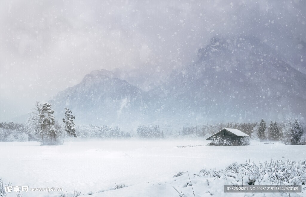 冰天雪地