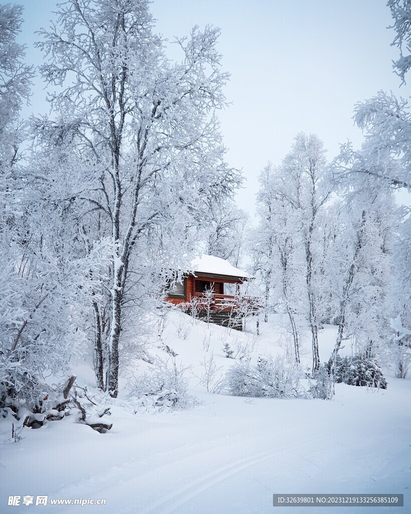 雪景