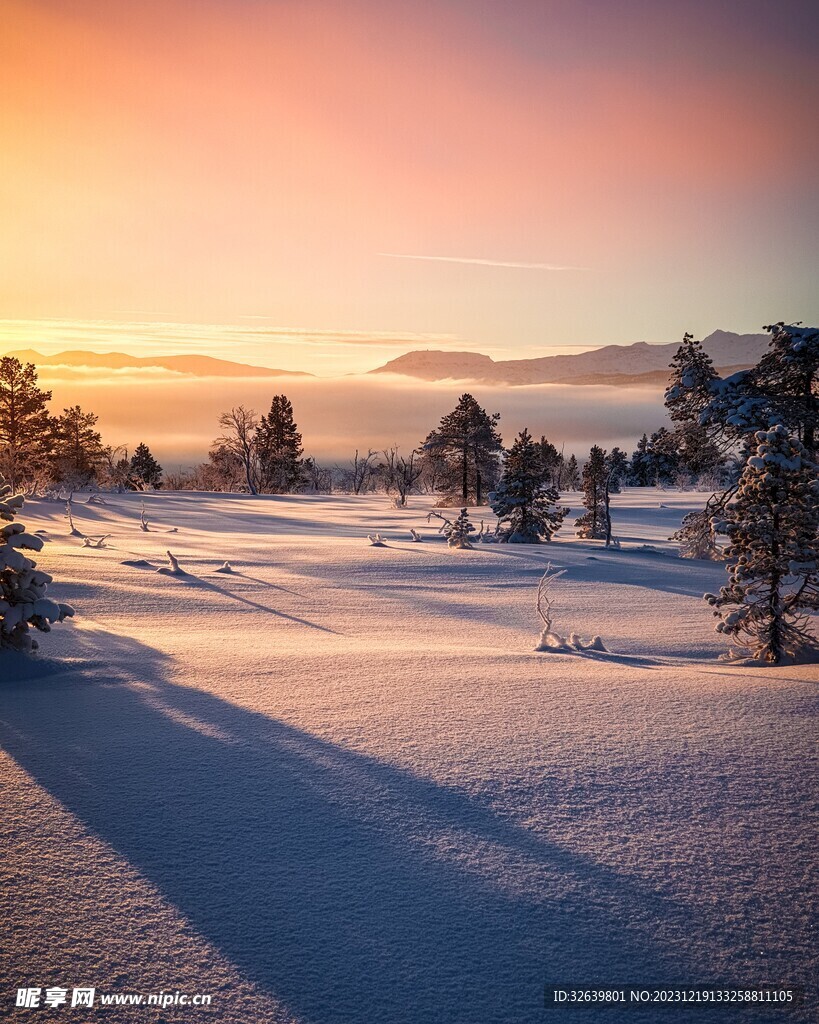 雪中夕阳