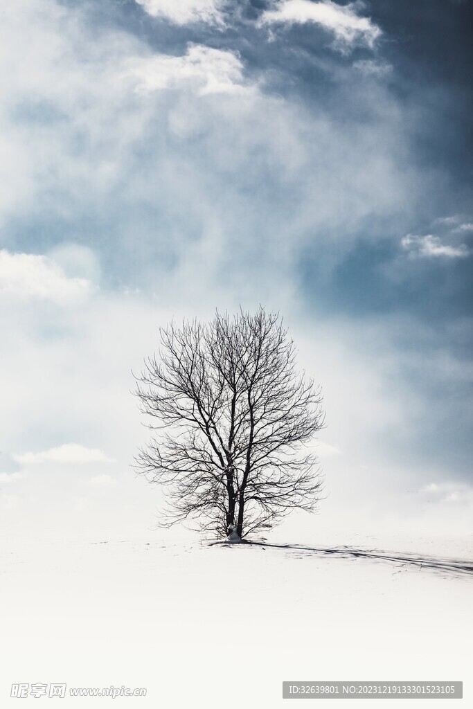  雪景 