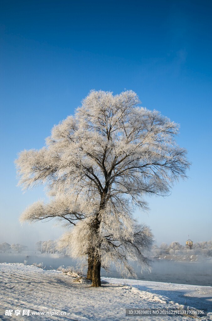 雪景