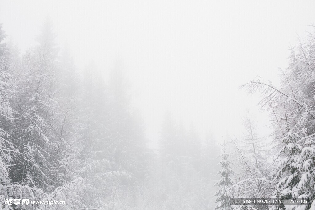 雪景