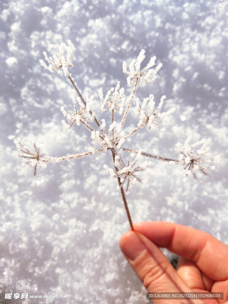 雪