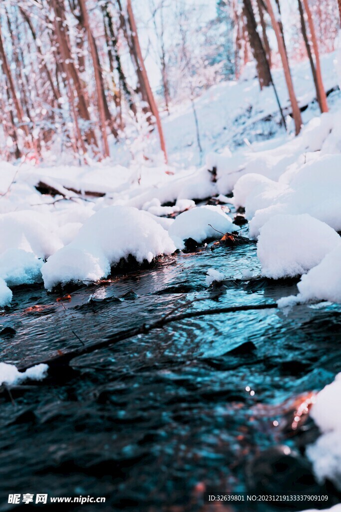 雪中小溪