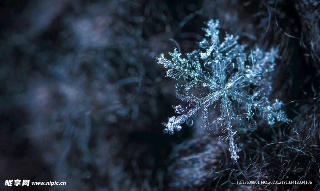 雪花